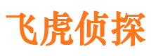 临泽市私家侦探